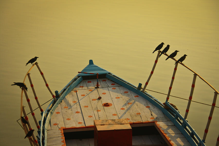 Crow Photograph - Occupied Boat On Ganges by Www.victoriawlaka.com