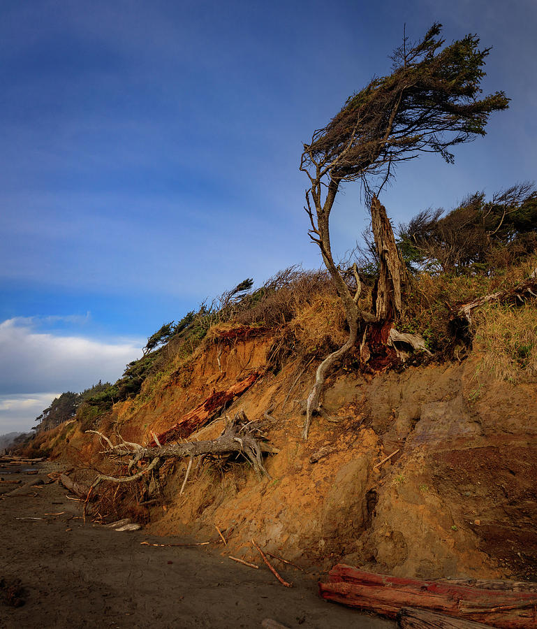 Ocean Beach Erosion Photograph