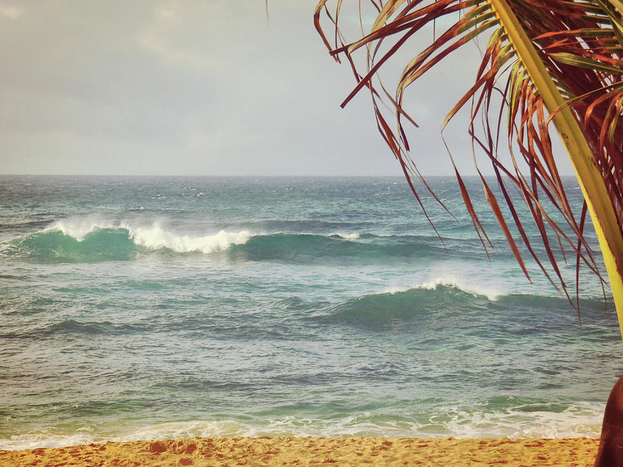 Ocean Breeze  Photograph by JAMART Photography