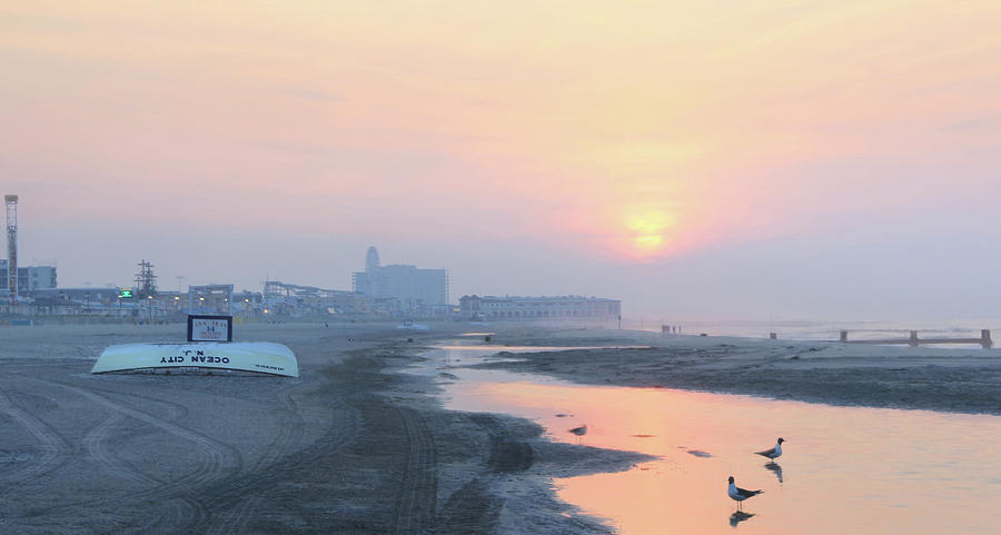 Sunrise with the seagulls in New Jersey