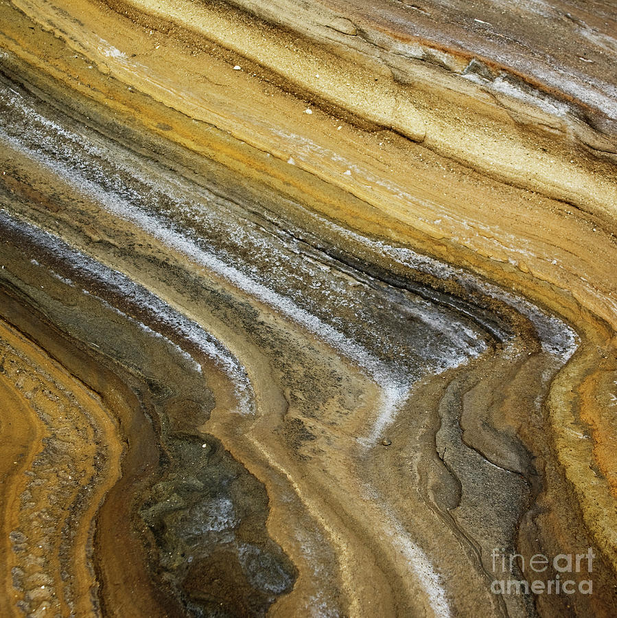Ocean Cliff Textures - Organic Patterns and Textures by Charmian Vistaunet Ocean Cliff Textures - Organic Patterns and Textures by Charmian Vistaunet