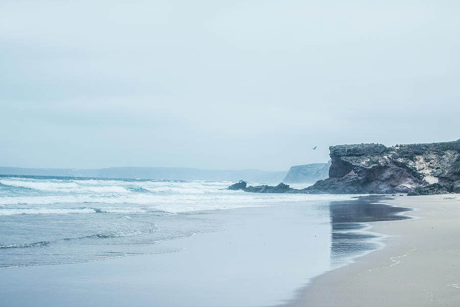 Ocean Coast in the Morning by Anne Leven Ocean Coast in the Morning by Anne Leven