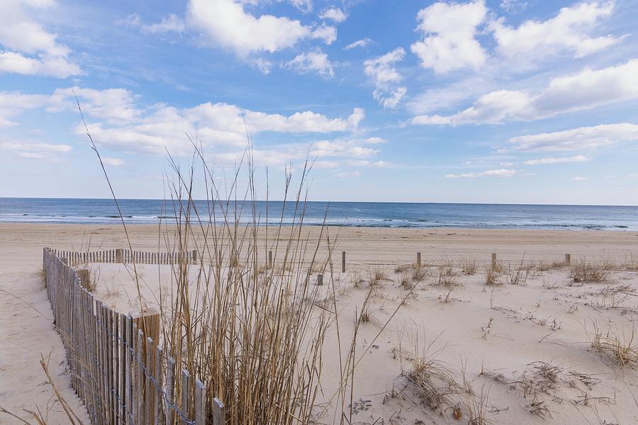 Nature Photograph - Ocean City Dune by Charles Kraus