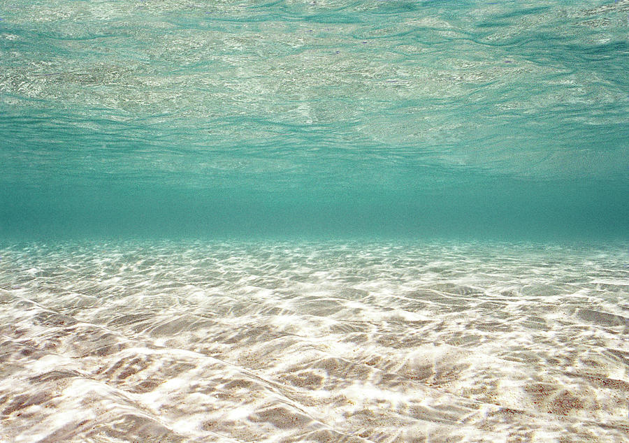 Ocean Floor Photograph by Laurence Monneret