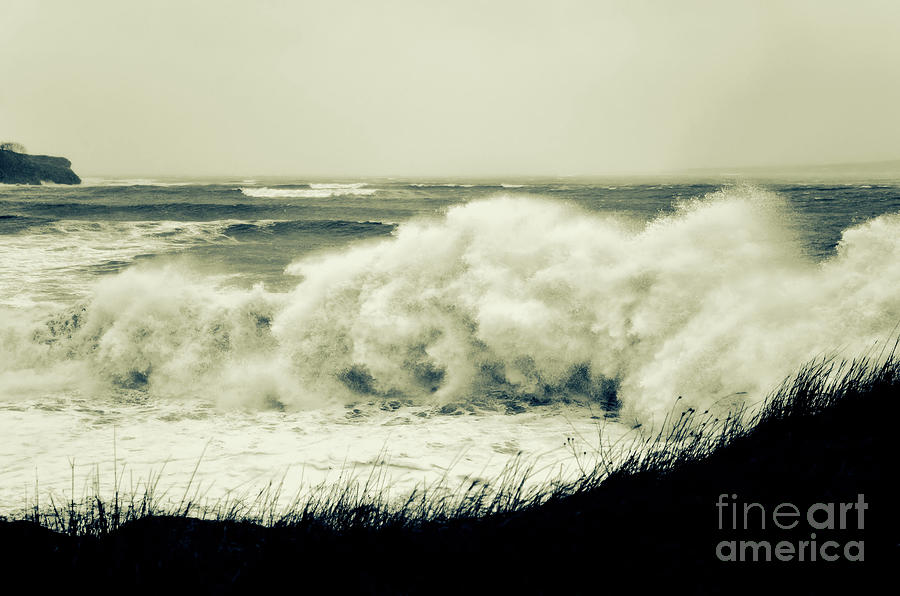 Ocean Fury Photograph by Elaine Manley