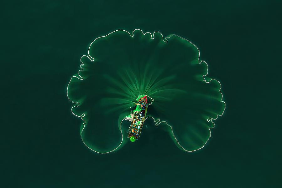 Ocean Lotus Leaf Photograph by Alex Cao