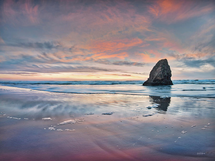 Ocean Meadows Beach Photograph by Leland D Howard