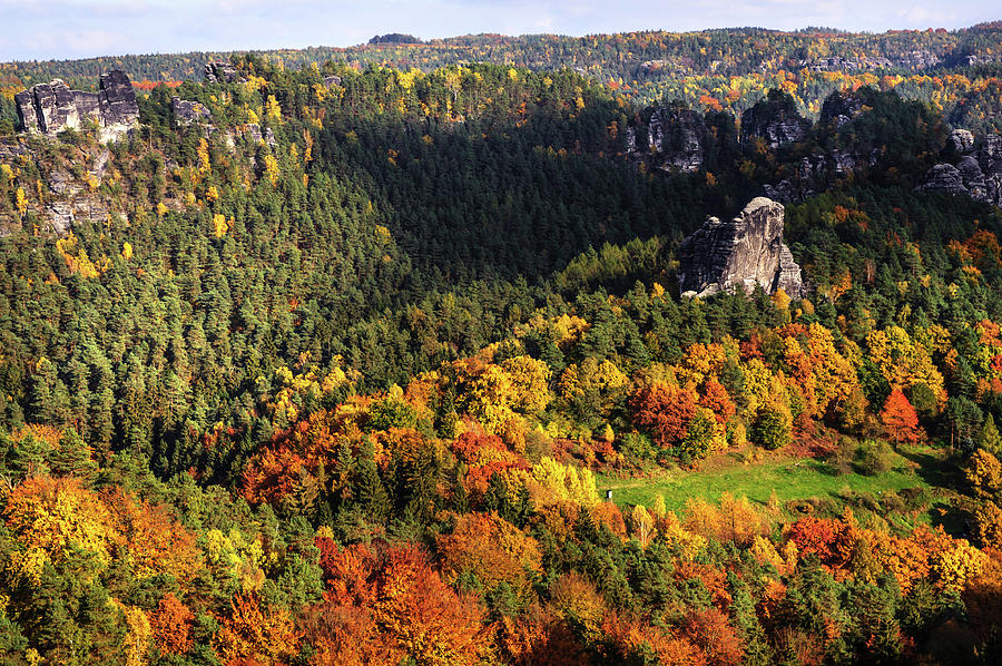Ocean of Fall Trees. Saxon Switzerland Photograph by Jenny Rainbow