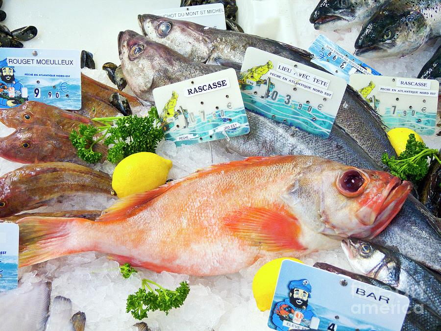 Ocean Perch On A Fish Counter Photograph by Martyn F. Chillmaid/science Photo Library
