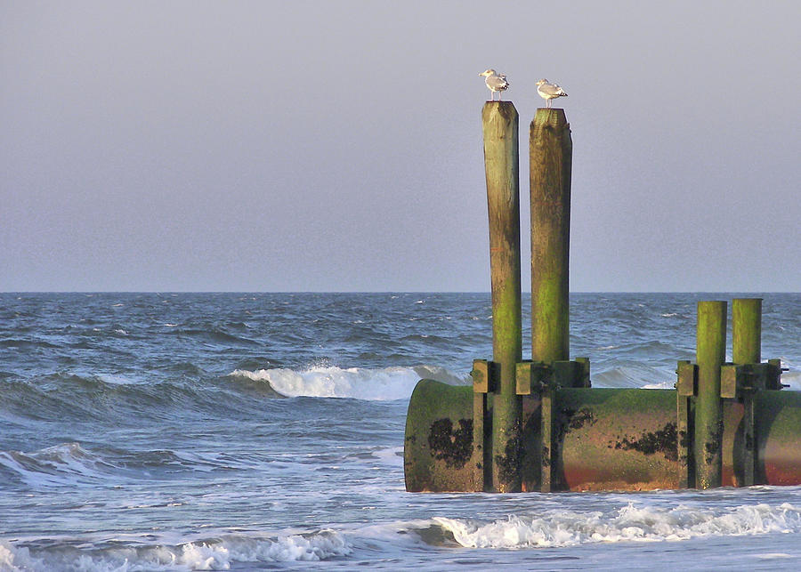 Ocean Piling Perches Photograph by JAMART Photography
