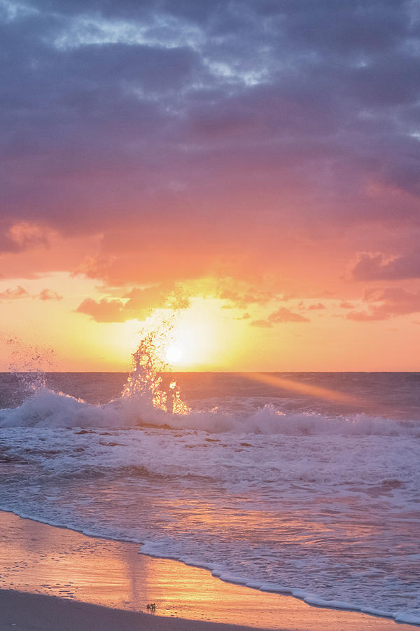 Ocean Reef Sunrise Photograph by Joe Kopp