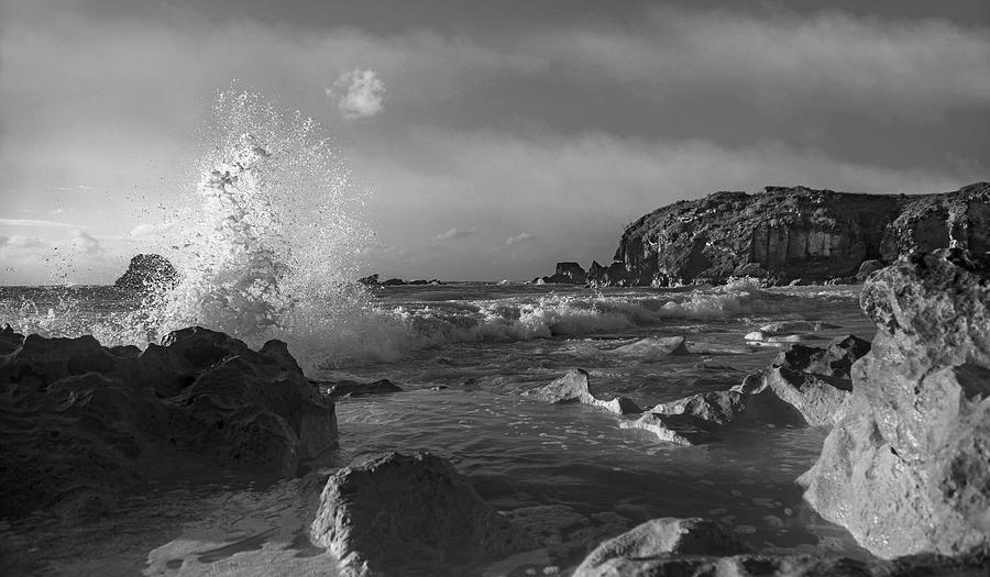 photo splash black and white photo splash black and white