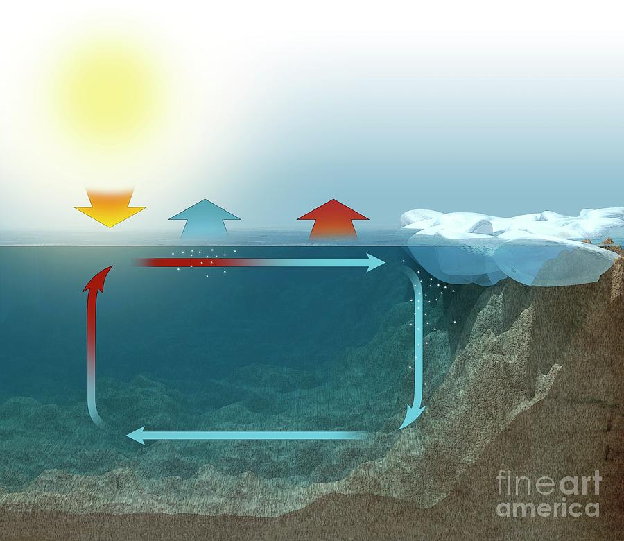 Ocean Thermohaline Circulation Mechanism Photograph by Mikkel Juul Jensen / Science Photo Library