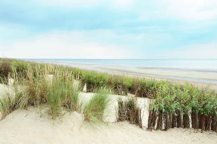 Ocean View From Dunes With Marram Grass Photograph by Knaupe