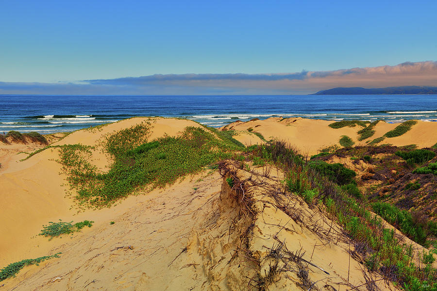 Oceano Dunes Photograph by Greg Norrell