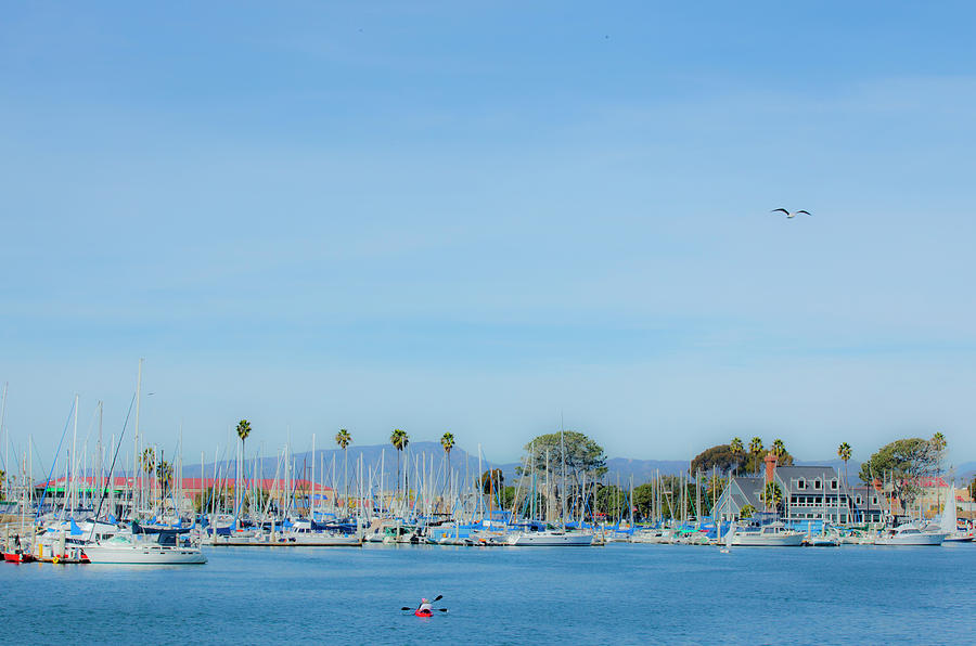 Oceanside California Harbor Sailboats 1 Photograph by Catherine Walters