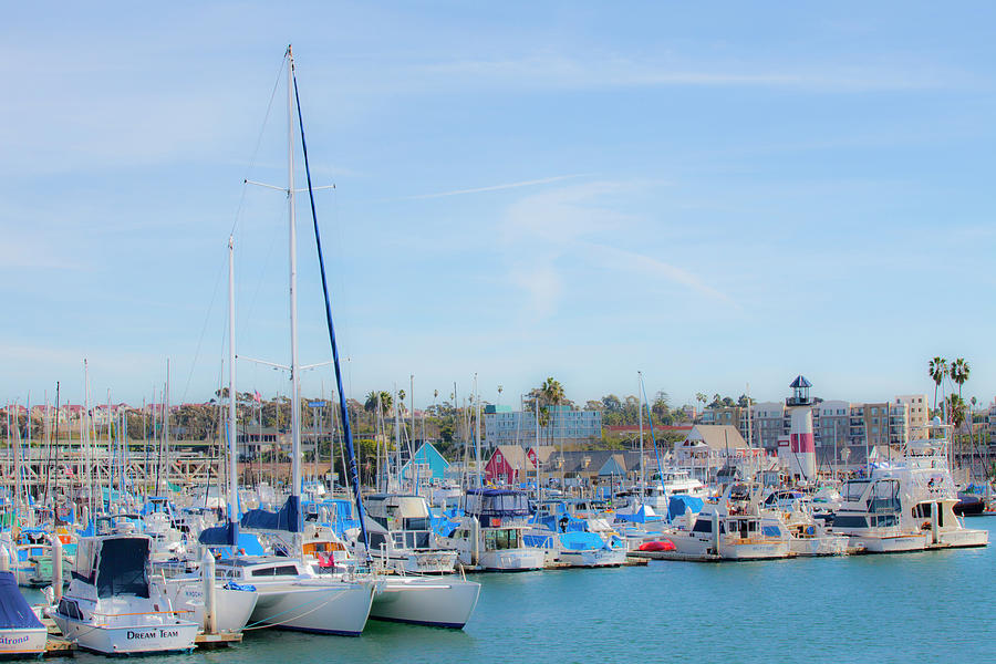 Oceanside California Harbor Sailboats 2 Photograph by Catherine Walters