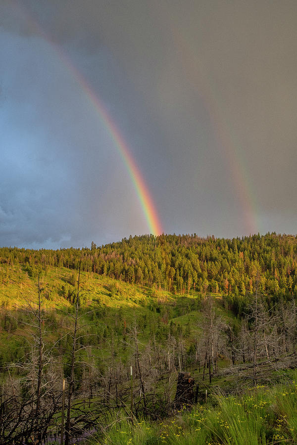 Ochoco Divide Rainbow by Matthew Irvin Ochoco Divide Rainbow by Matthew Irvin