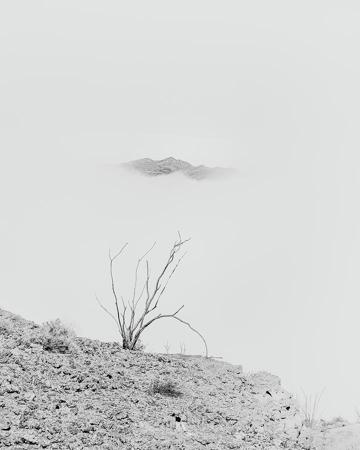 Ocotillo, Mountain and Fog Photograph by Joseph Smith
