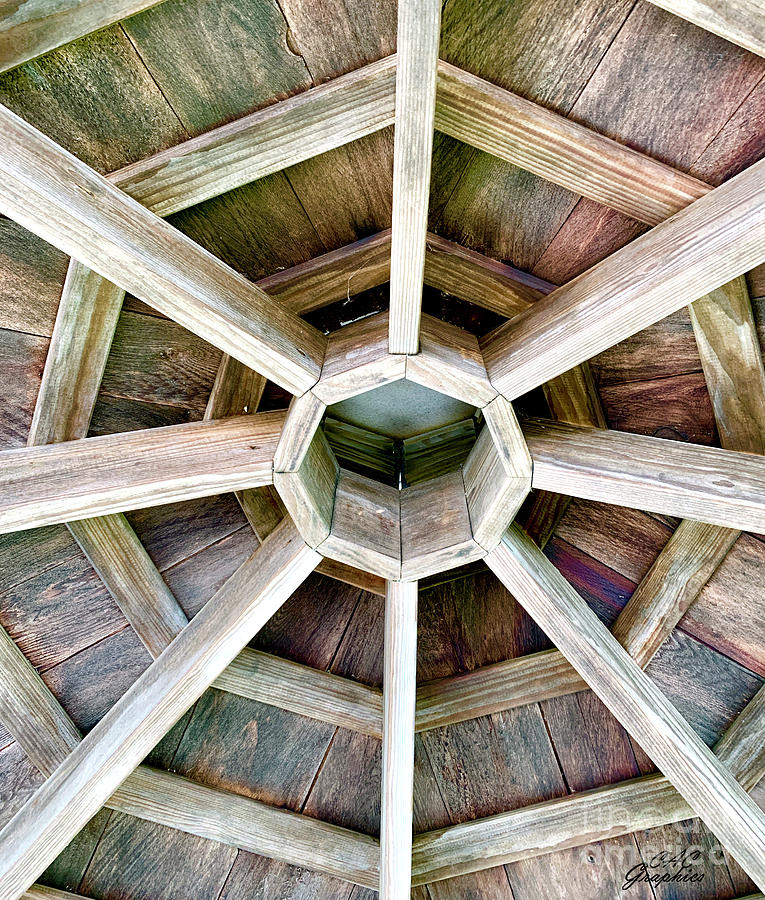Octagonal Ceiling Photograph by CAC Graphics