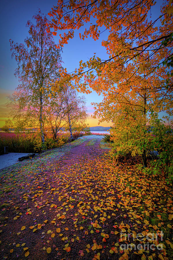 Fall Photograph - October 5, 08.05 Am by Veikko Suikkanen