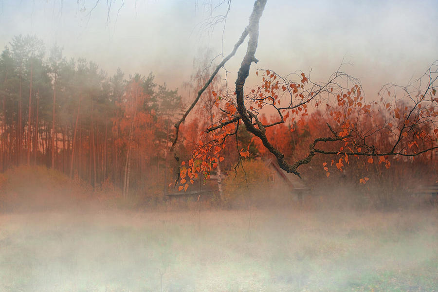  Charming Fall Photograph by Aleksandrs Drozdovs
