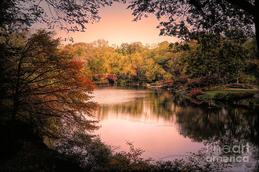 October Fall in Central Park  Photograph by Chuck Kuhn