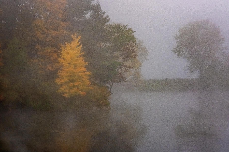 October Fog Photograph by Tom Singleton
