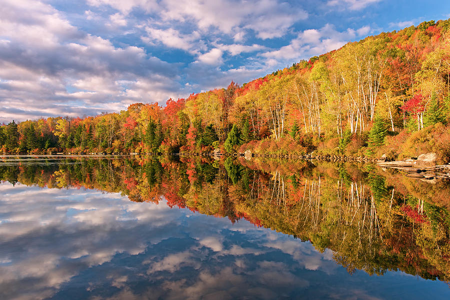 Tree Photograph - October Mirror by Michael Blanchette Photography