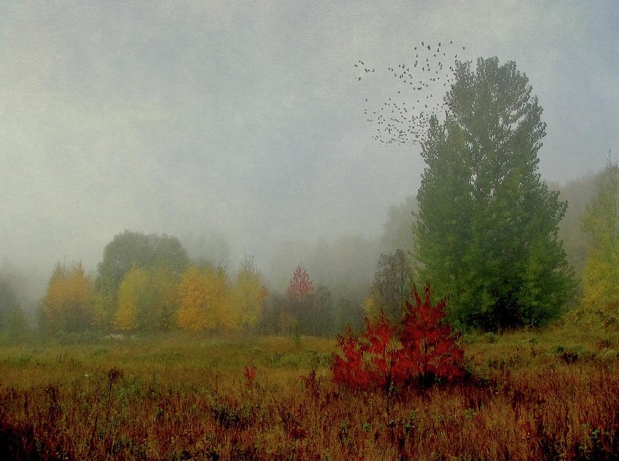 October Morn by Maggie Terlecki October Morn by Maggie Terlecki
