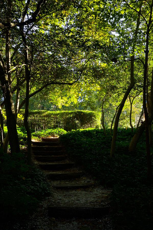 October Morning Garden Steps Photograph by Rachel Morrison