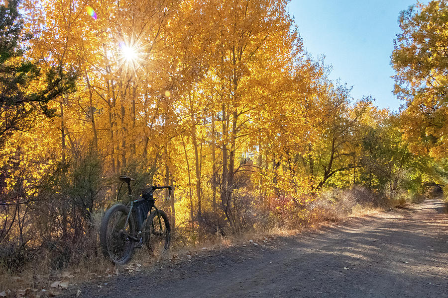 October Ride Photograph by Randy Robbins