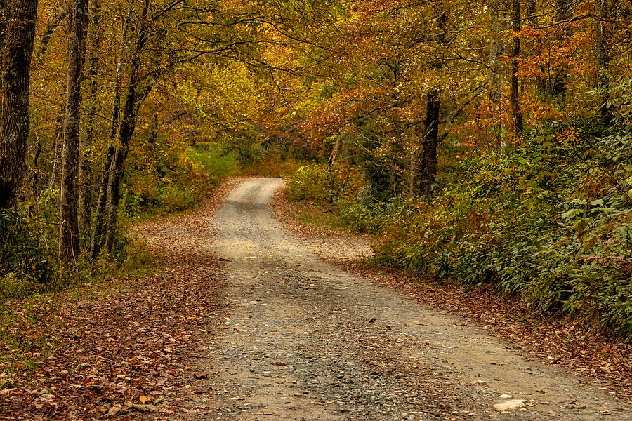 October Road Photograph by Dana Foreman