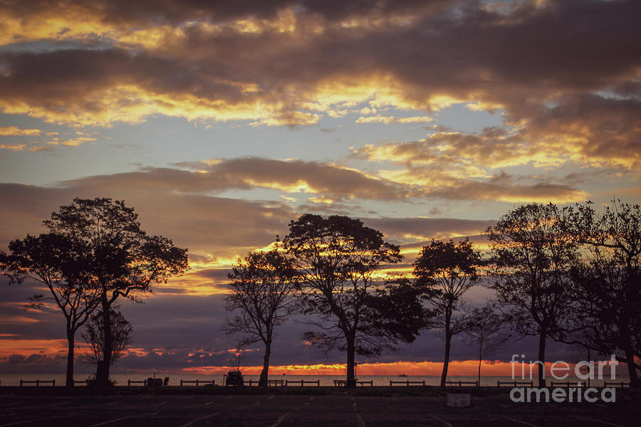 Nature Photograph - October sunrise by Victory Designs