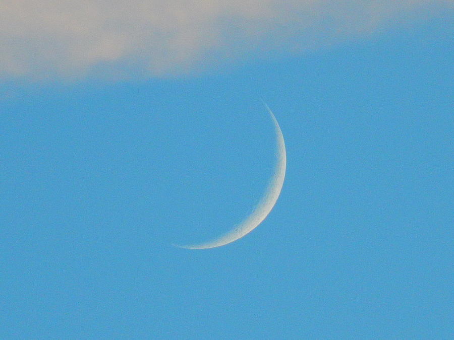 Octobers crescent moon Photograph by Virginia White