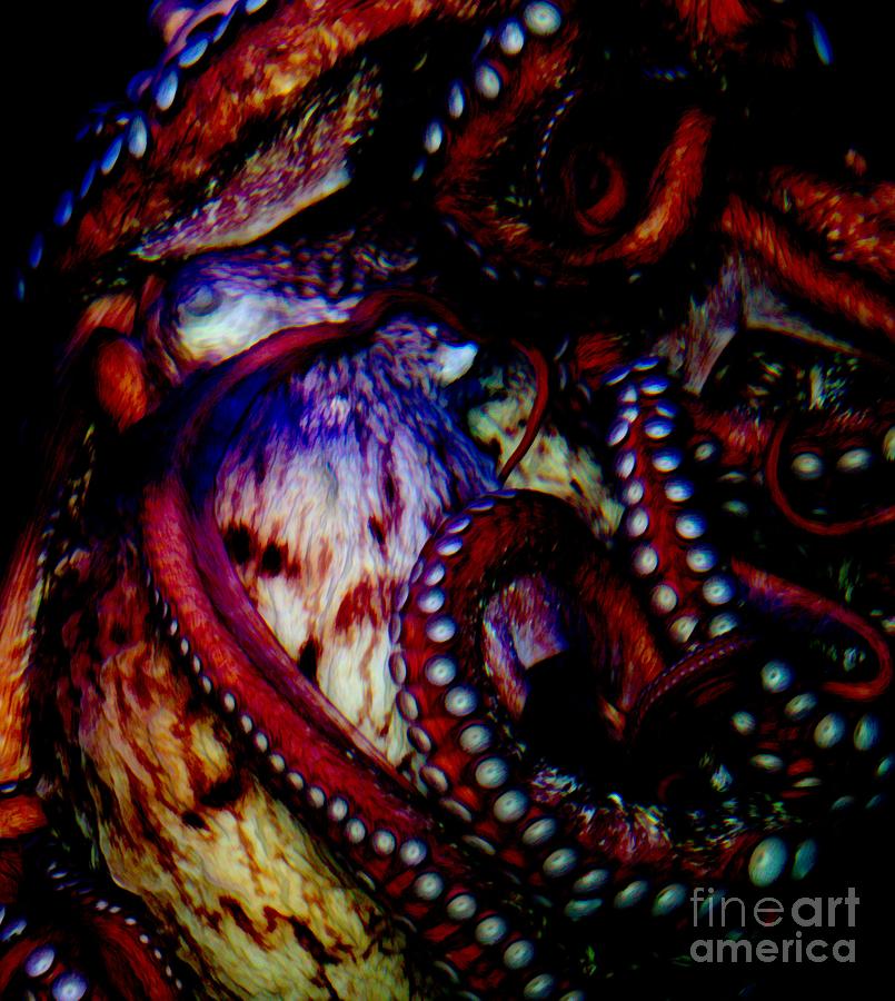 Octopus Photograph - Octopus Art  by Paulette Thomas