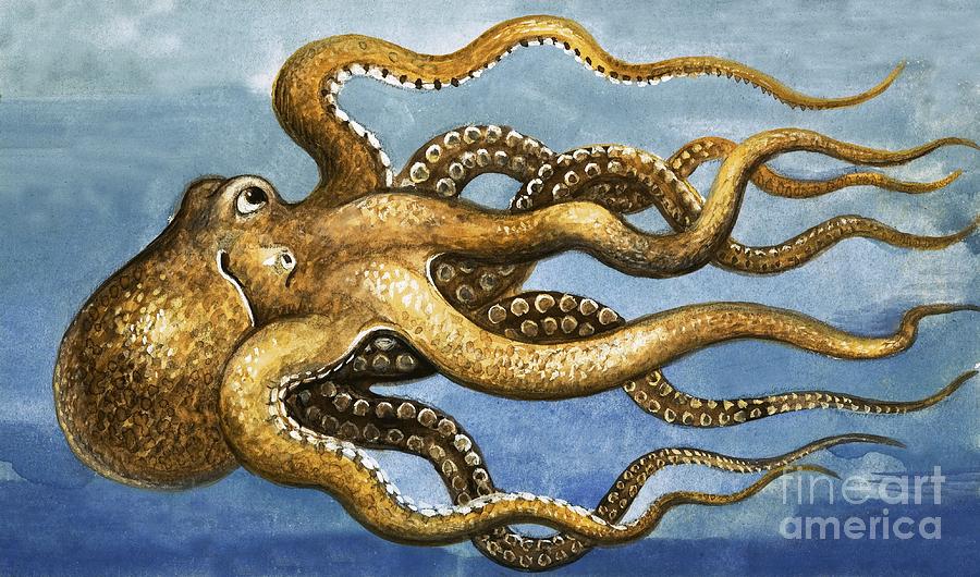 Octopus Painting by English School