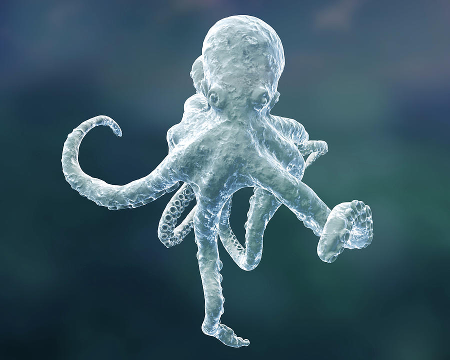Octopus, Illustration Photograph by Kateryna Kon