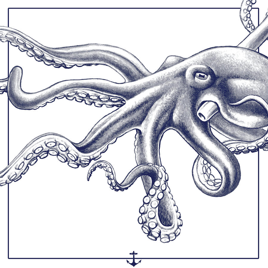 Octopus Drawing by Martin Williams