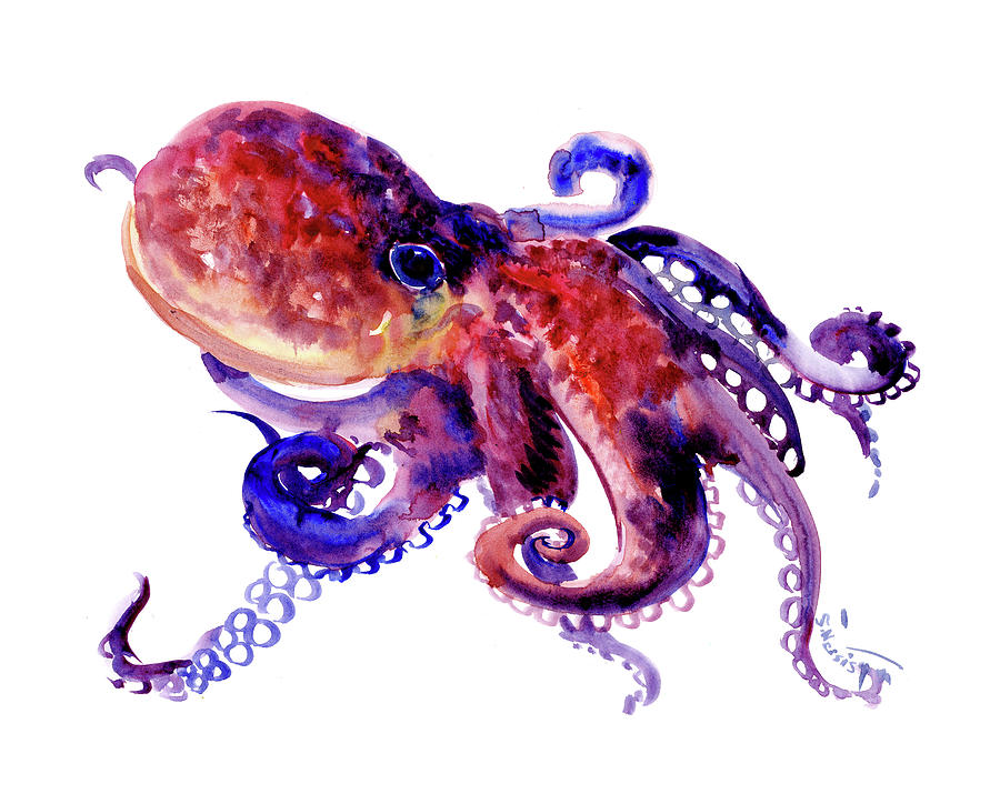 octopus painting octopus painting