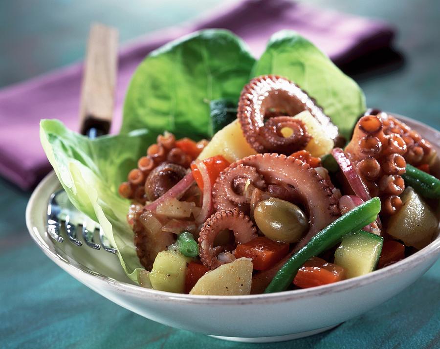 Octopus Salad Photograph by Leser