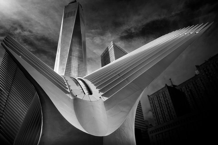 Architecture Photograph - Oculus #01 by Alessio Forlano