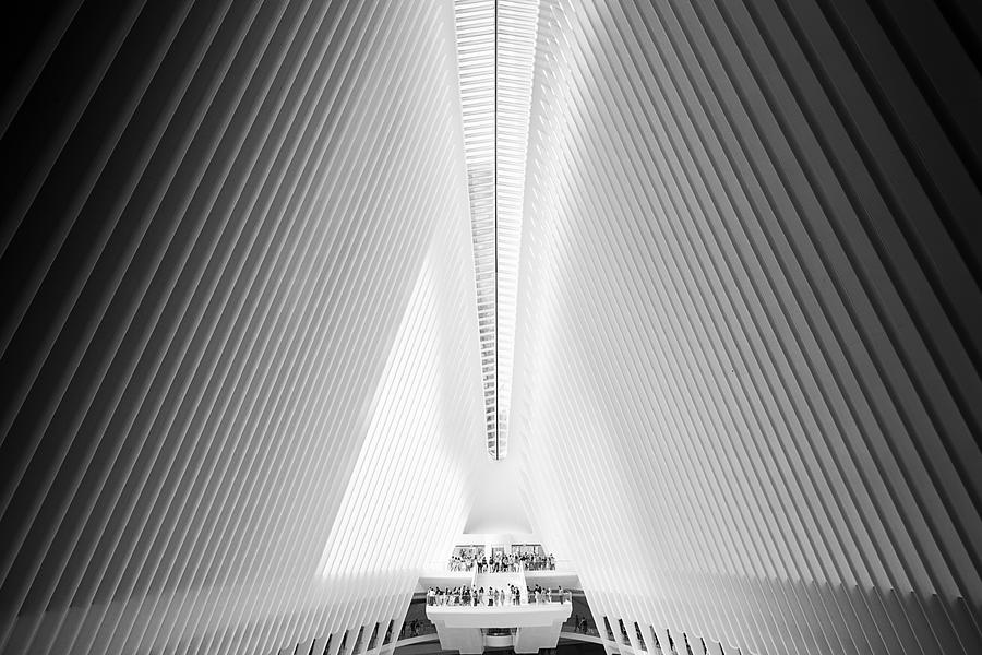 Oculus #02 Photograph by Alessio Forlano