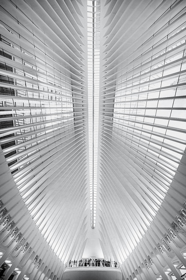 Black And White Photograph - Oculus by Marco Tagliarino