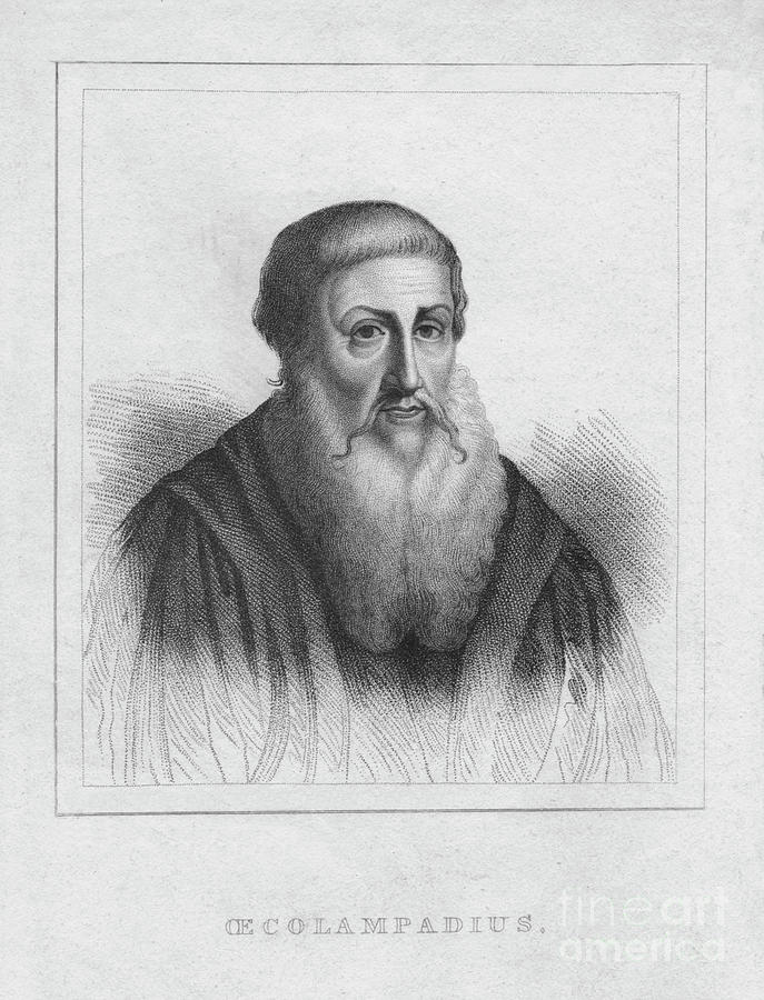 Oecolampadius Drawing by Print Collector