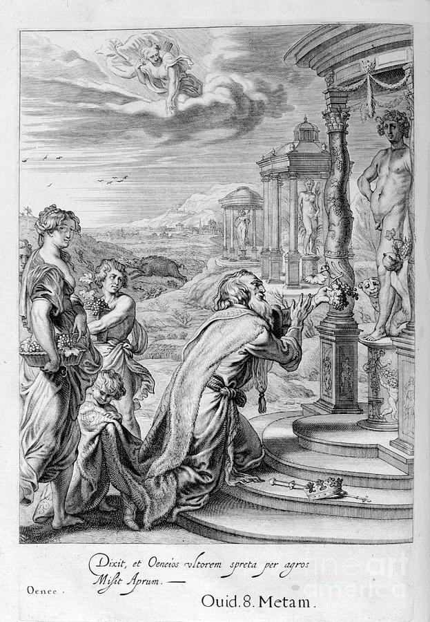 Oeneus, King Of Calydon, Having Drawing by Print Collector