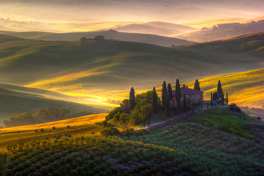 Landscape Photograph - Of Green And Gold by Francesco Riccardo Iacomino