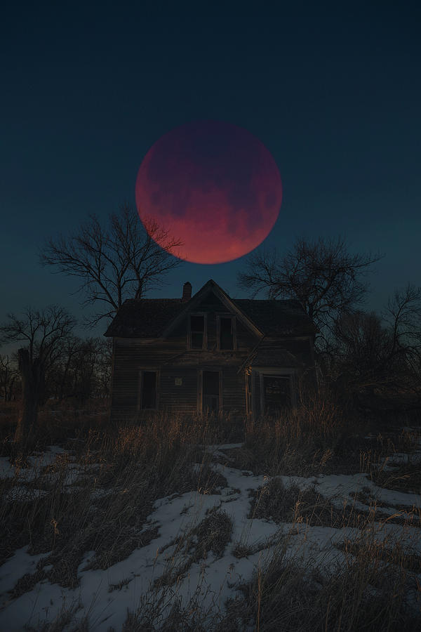Of Wolf And Man  Photograph by Aaron J Groen