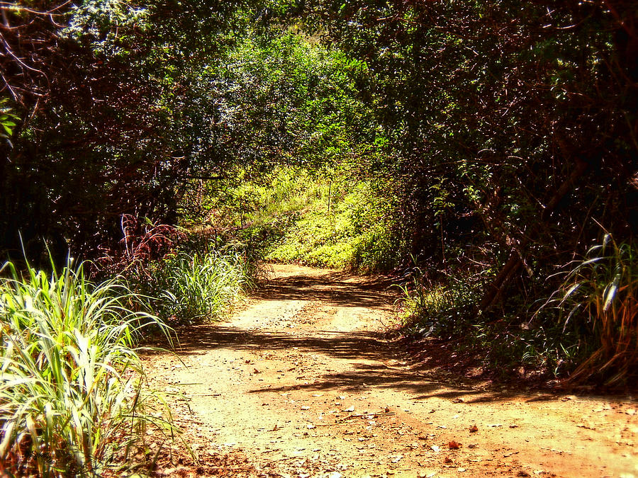 Off The Back Road - Maui Photograph by Glenn McCarthy Art and Photography