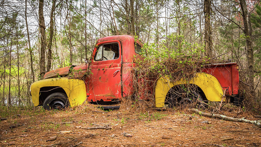 Off The Beaten Path Photograph by Michelle Wittmer-Grabowski - Fine Art ...